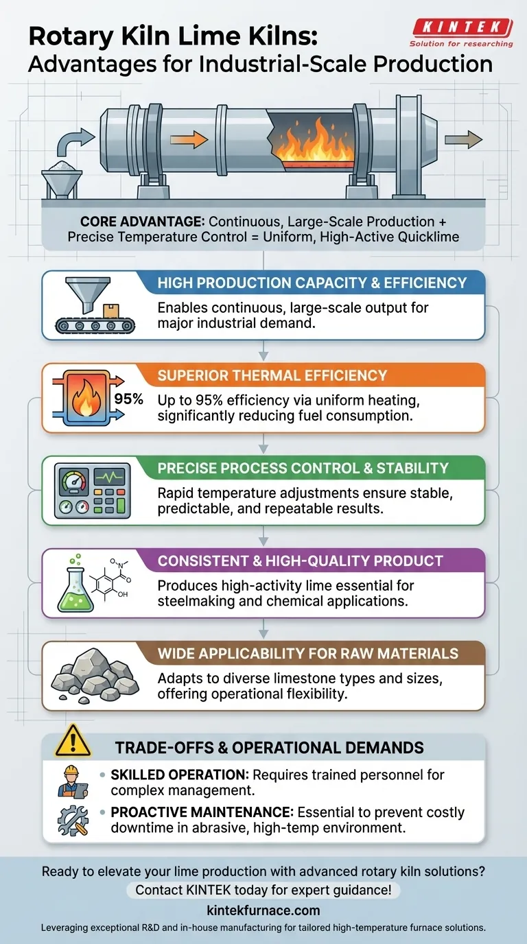 ロータリーキルン式石灰窯の主な利点は何ですか？高容量で効率的な石灰生産を促進 ビジュアルガイド
