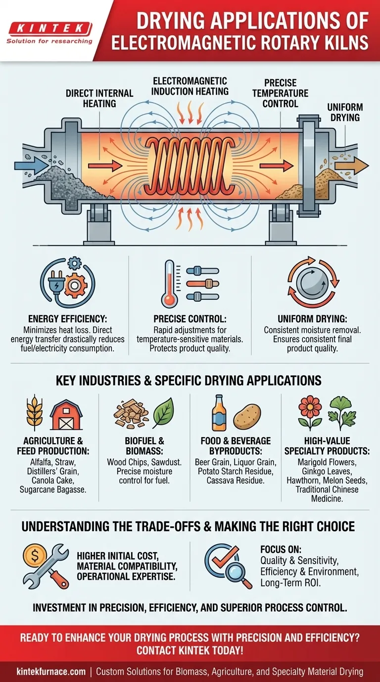 Quais são algumas aplicações de secagem de fornos rotativos eletromagnéticos? Descubra Soluções de Secagem Eficientes e Precisas Guia Visual