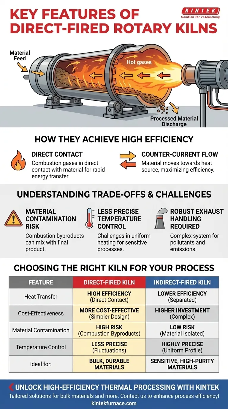 直火式ロータリーキルの主な特徴は何ですか？ ばら積み材料処理の効率を最大化する ビジュアルガイド