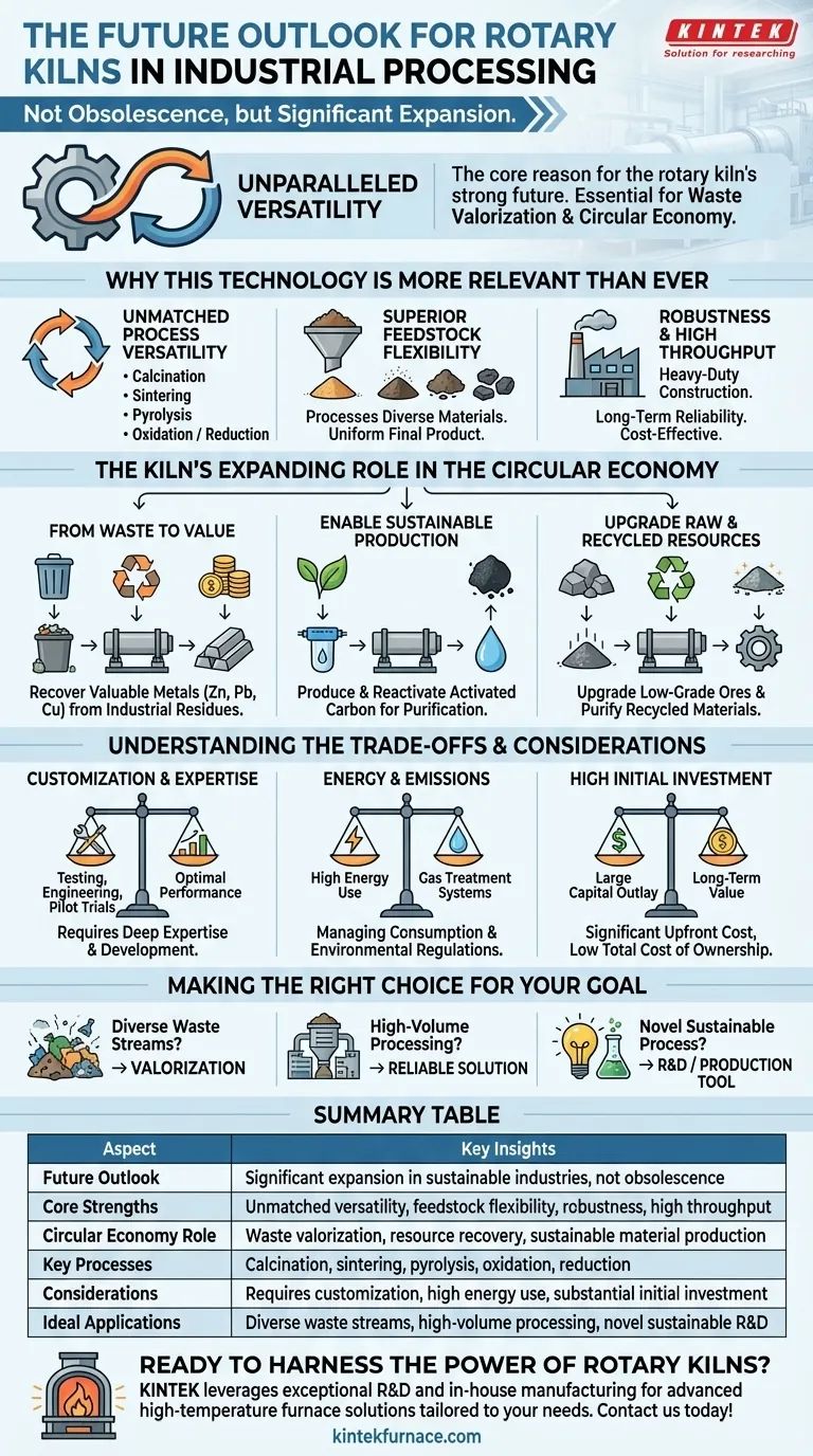 ما هو التوقعات المستقبلية للأفران الدوارة في المعالجة الصناعية؟ دور متوسع في الاقتصادات المستدامة والدائرية دليل مرئي