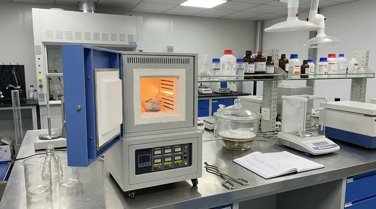 Quali sono alcune applicazioni specifiche dei forni a muffola? Sblocca la precisione nel trattamento termico e nell'analisi