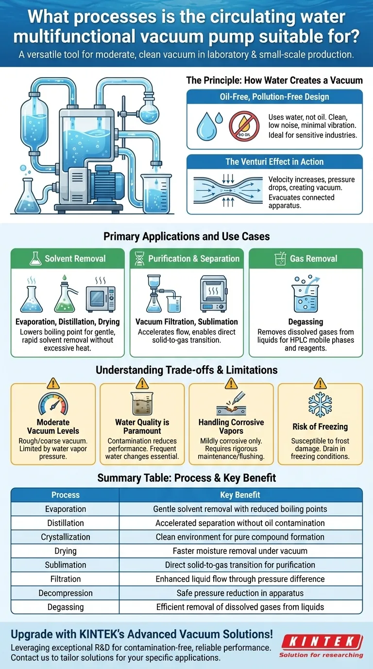 ¿Para qué procesos es adecuada la bomba de vacío multifuncional de agua circulante? Ideal para necesidades de vacío de laboratorio limpias y económicas Guía Visual