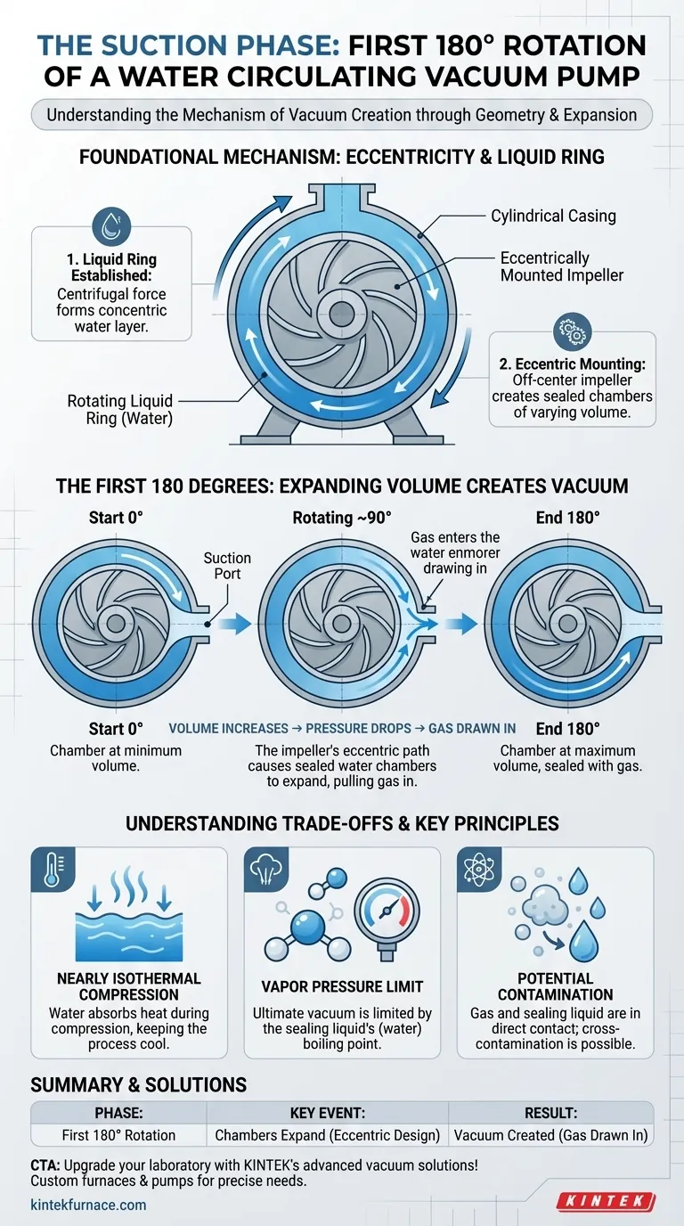 ¿Qué sucede durante la rotación de 180 grados del impulsor en una bomba de vacío de circulación de agua? Descubra el Mecanismo de Succión Guía Visual