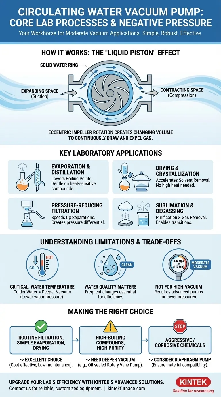 ¿Para qué procesos puede proporcionar condiciones de presión negativa una bomba de vacío de agua circulante? Técnicas esenciales de laboratorio explicadas Guía Visual