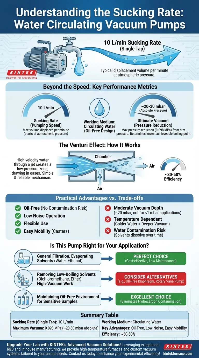 ¿Cuál es la tasa de succión para una sola toma en una bomba de vacío de circulación de agua? Obtenga las especificaciones clave para su laboratorio. Guía Visual