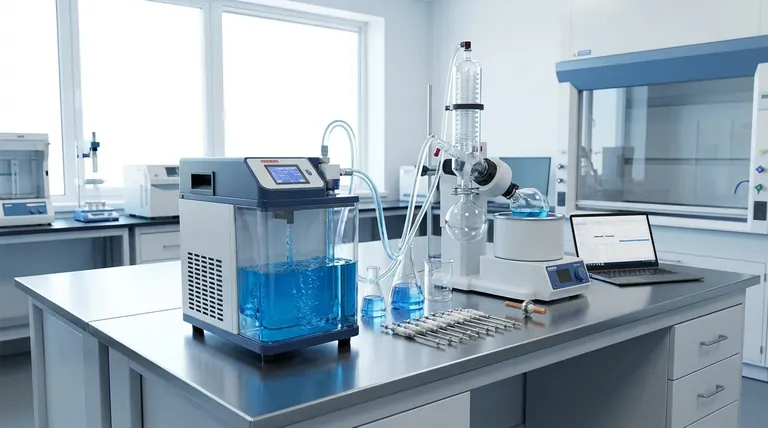 ¿Cuál es la tasa de succión para una sola toma en una bomba de vacío de circulación de agua? Obtenga las especificaciones clave para su laboratorio.