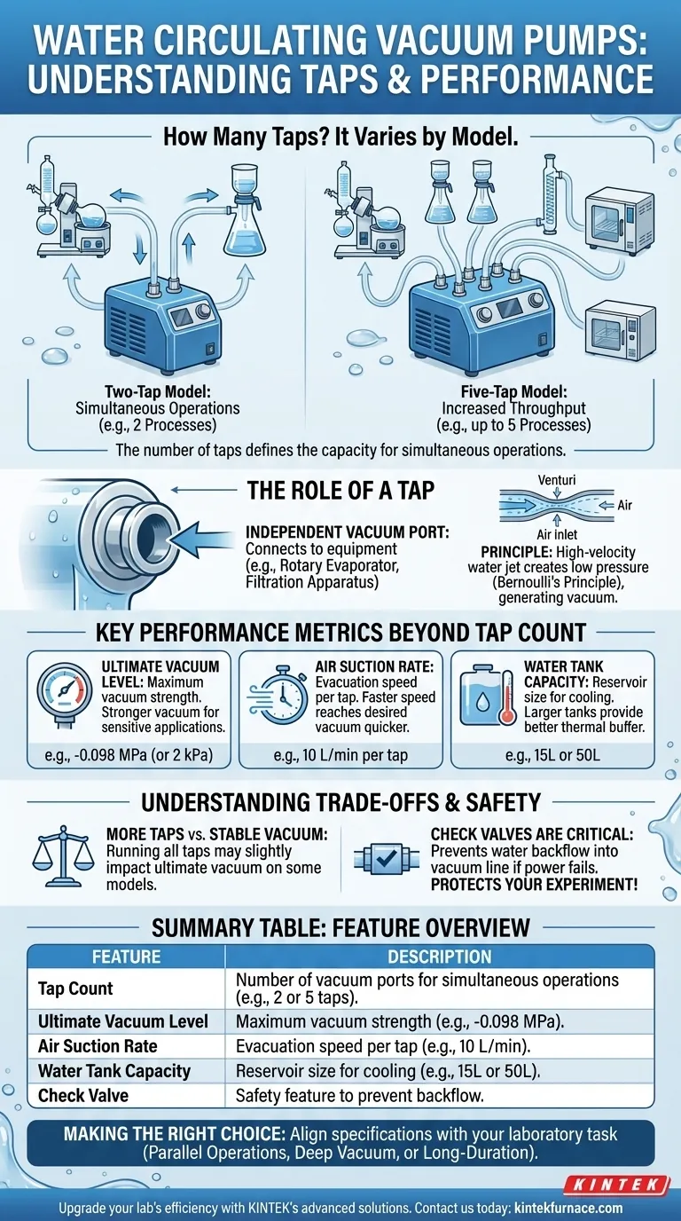 ¿Cuántas tomas tiene la bomba de vacío circulante de agua? Elija el modelo adecuado para su laboratorio Guía Visual