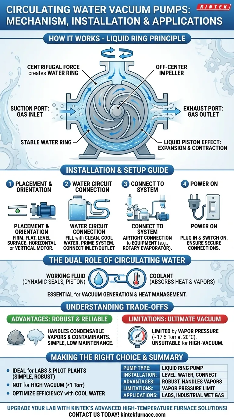 ¿Qué tipo de bomba se utiliza en las bombas de vacío de circulación de agua y cómo se instalan? Descubra soluciones robustas basadas en fluidos para el vacío Guía Visual