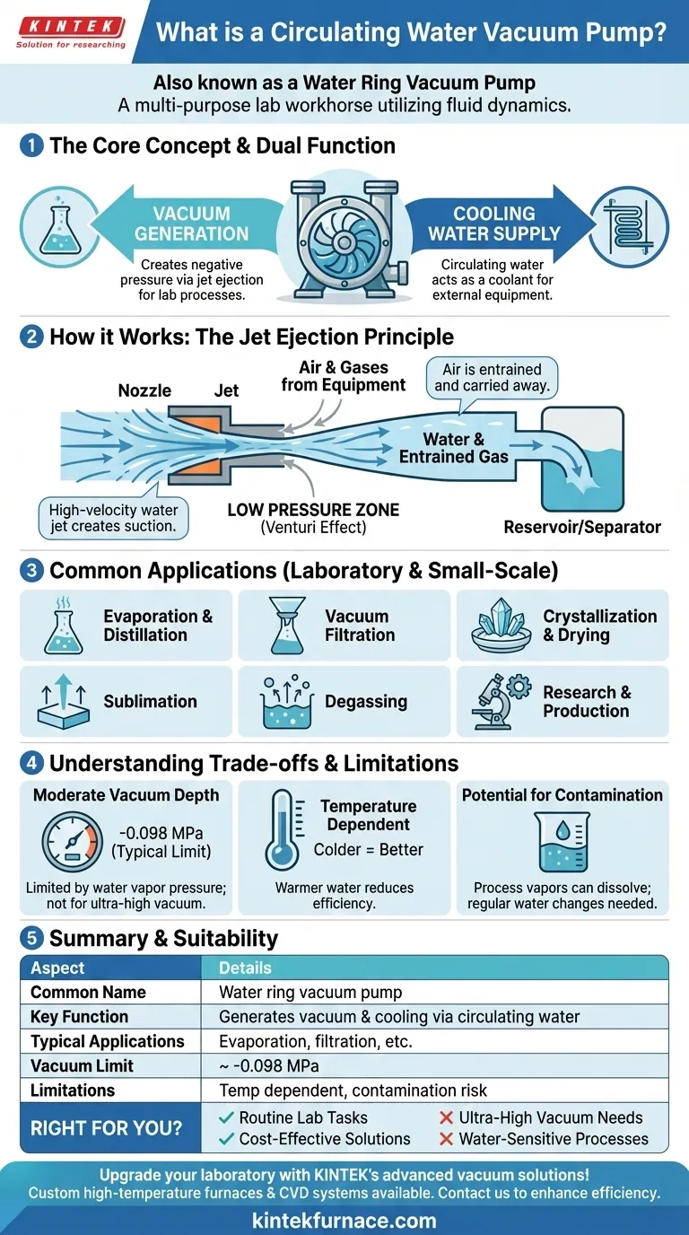¿Cómo se conoce también una bomba de vacío de agua circulante? Descubra su papel en la eficiencia del laboratorio Guía Visual