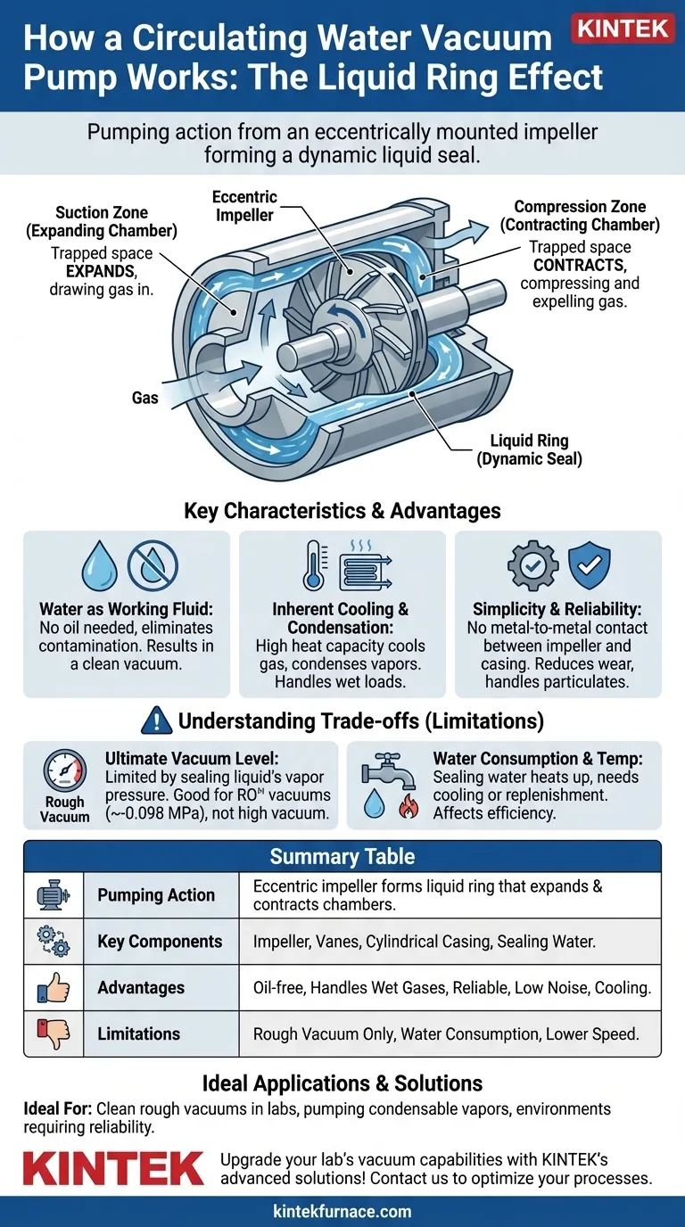 ¿Qué crea la acción de bombeo en una bomba de vacío de agua circulante? Descubra el mecanismo de anillo líquido Guía Visual