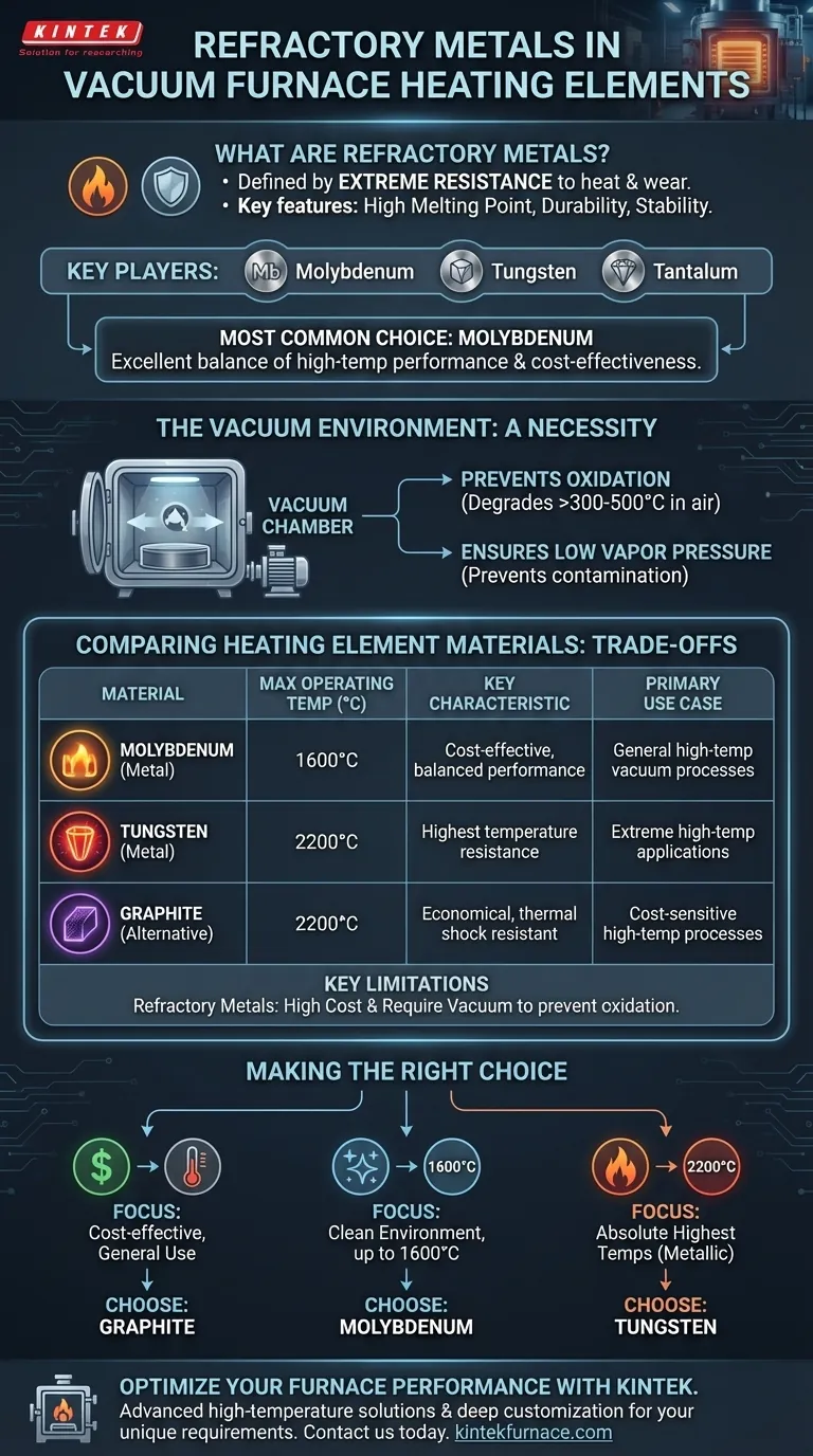 What are refractory metals and which one is most commonly used for heating elements in vacuum furnaces? Molybdenum is the top choice for its balance of performance and cost. Visual Guide