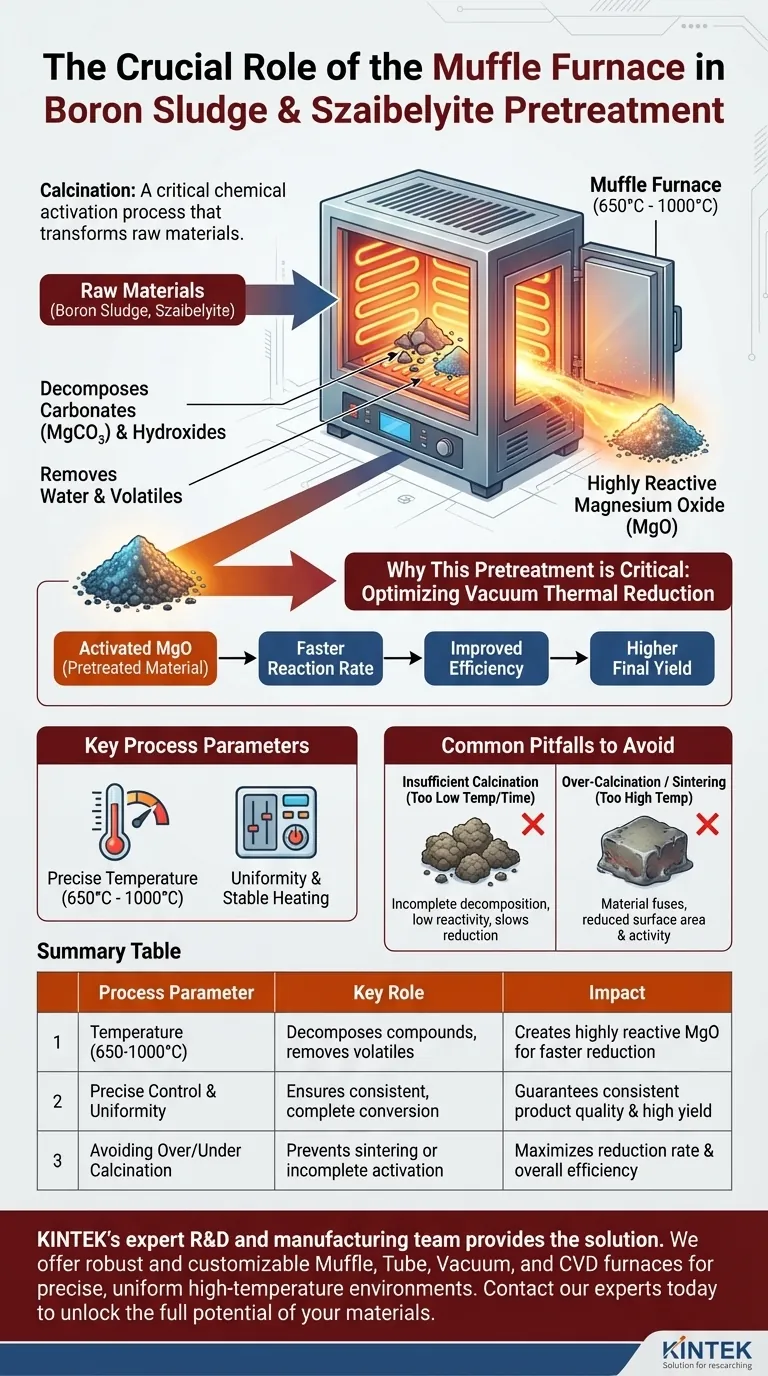 Quel est le rôle clé d'un four à moufle dans le prétraitement des boues de bore et de la szaibelyite ? Augmenter l'efficacité du processus Guide Visuel