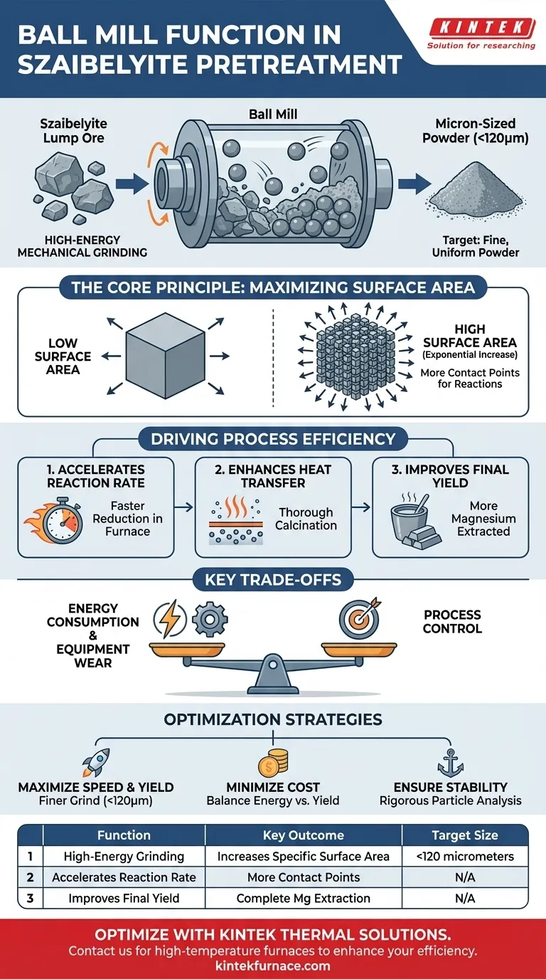 Qual è la funzione di un mulino a palle nella fase di pretrattamento delle materie prime per il processo di riduzione termica sotto vuoto della szaibelyite? Guida Visiva