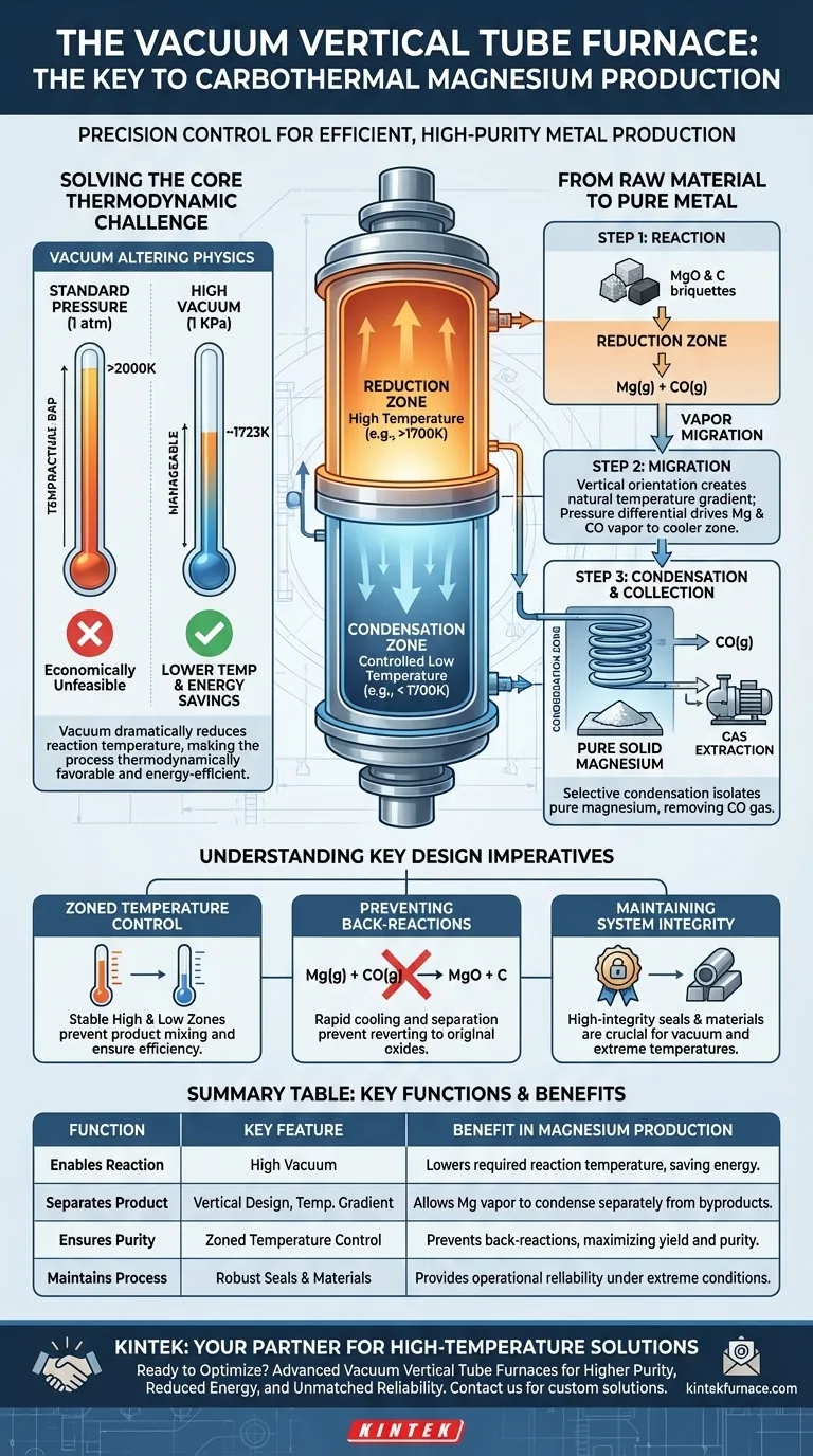 Qual è il ruolo primario di un forno a tubo verticale sottovuoto nel processo di produzione del magnesio tramite riduzione carbotermica? Abilitare una produzione di metallo efficiente e di elevata purezza Guida Visiva