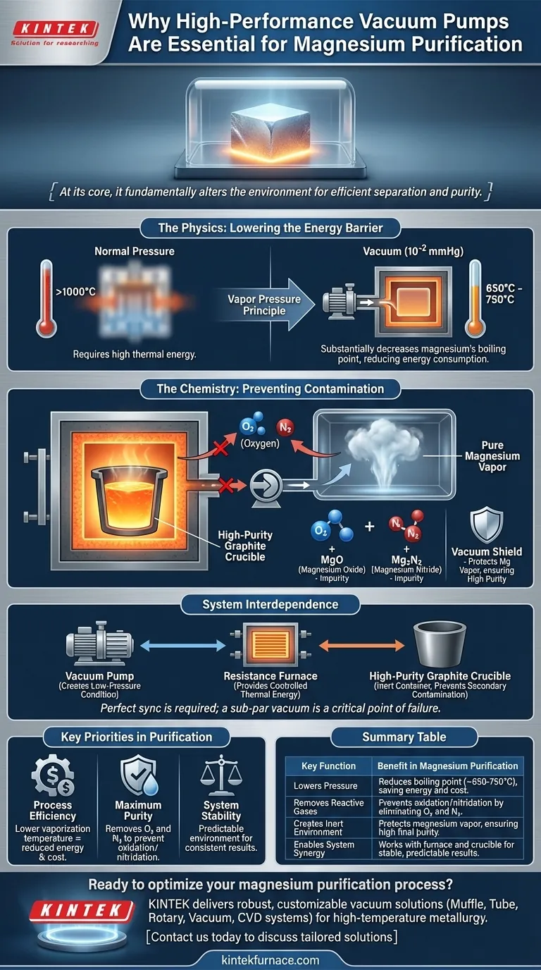Why is a high-performance vacuum pump system essential for magnesium purification? Achieve High Purity and Efficiency Visual Guide