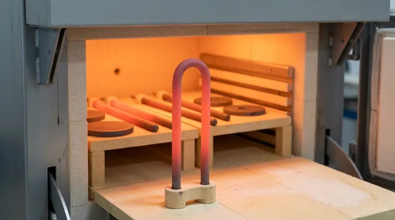 Каковы основные характеристики нагревательных элементов из дисилицида молибдена? Обеспечьте непревзойденную высокотемпературную производительность