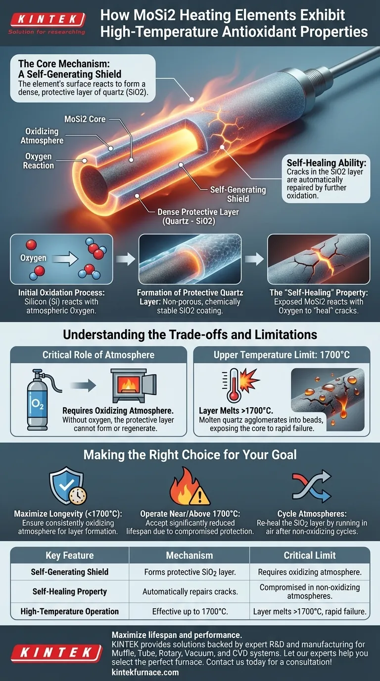 كيف تُظهر عناصر التسخين المصنوعة من MoSi2 خصائص مضادة للأكسدة في درجات الحرارة العالية؟ شرح الدرع ذاتي الشفاء دليل مرئي