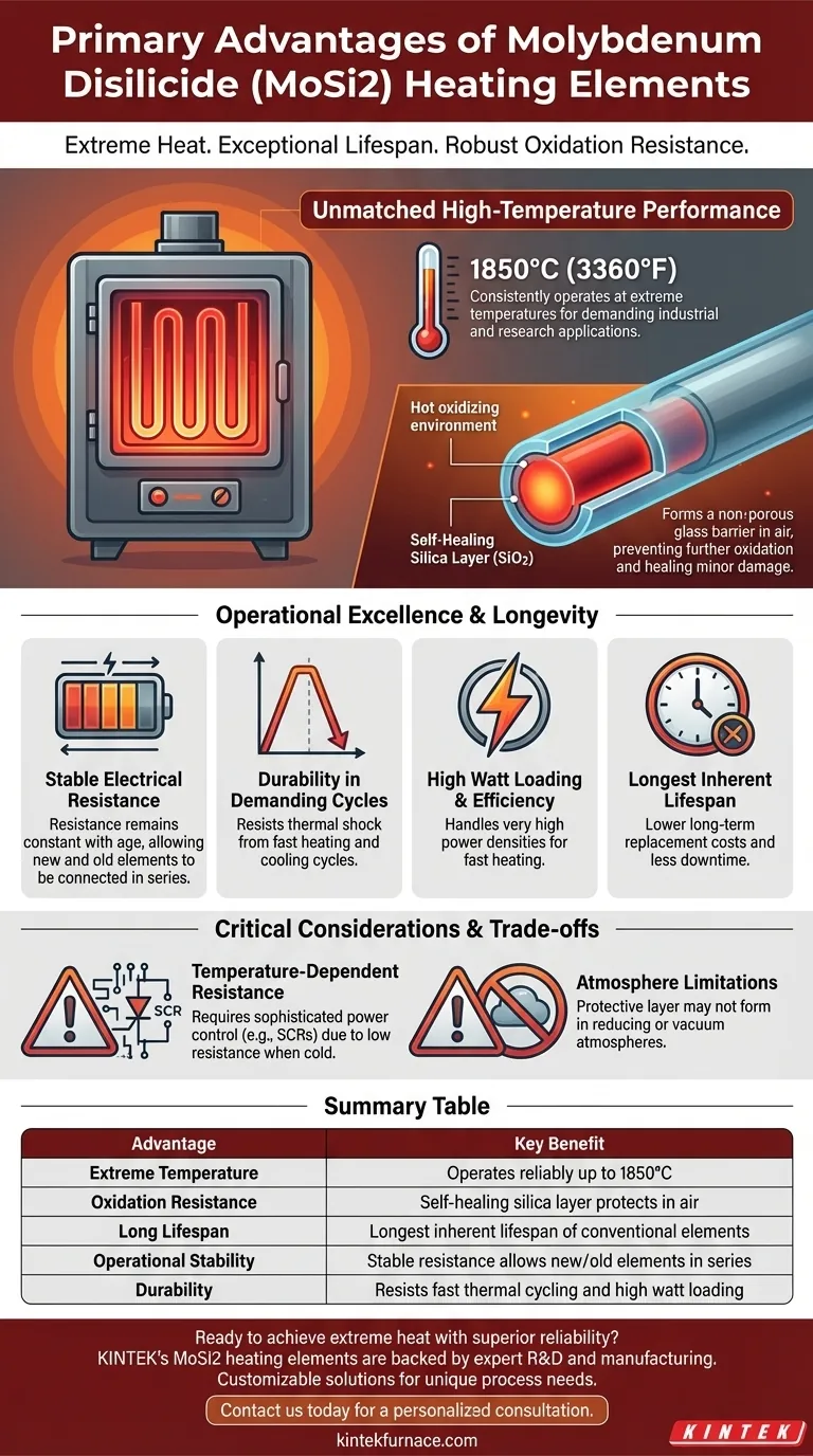 Quais são as principais vantagens dos elementos de aquecimento de dissilicieto de molibdénio (MoSi2)? Desempenho e vida útil incomparáveis em altas temperaturas Guia Visual