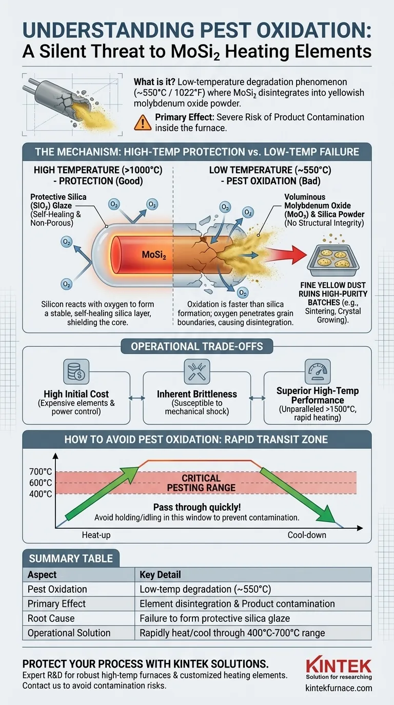 Was ist 'Pestoxidation' bei MoSi2-Elementen? Vermeiden Sie kostspielige Ofenverunreinigungen Visuelle Anleitung