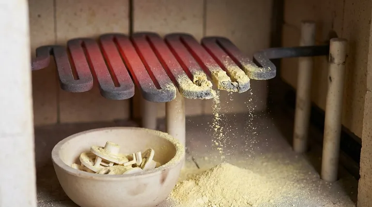 Was ist 'Pestoxidation' bei MoSi2-Elementen? Vermeiden Sie kostspielige Ofenverunreinigungen