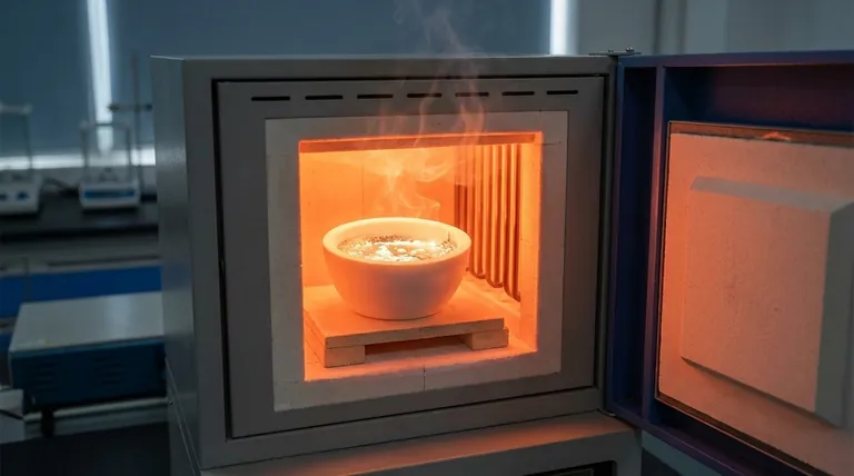 Por que cadinhos de corindo ou cerâmica são necessários para processos de evaporação de magnésio em alta temperatura? Garanta a pureza e evite a falha do cadinho