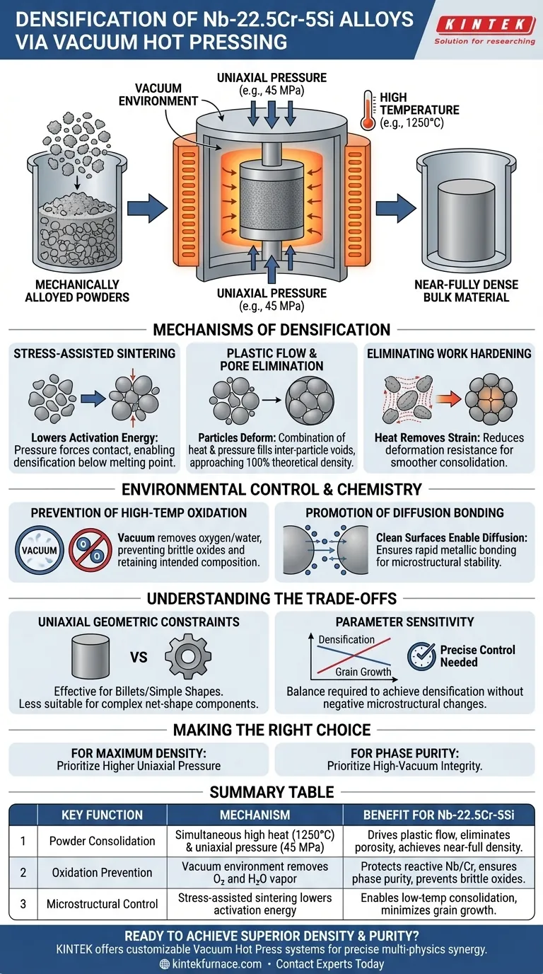 What function does a vacuum hot press furnace serve in the densification of Nb-22.5Cr-5Si alloys? Achieve Full Density and Purity for Refractory Alloys Visual Guide