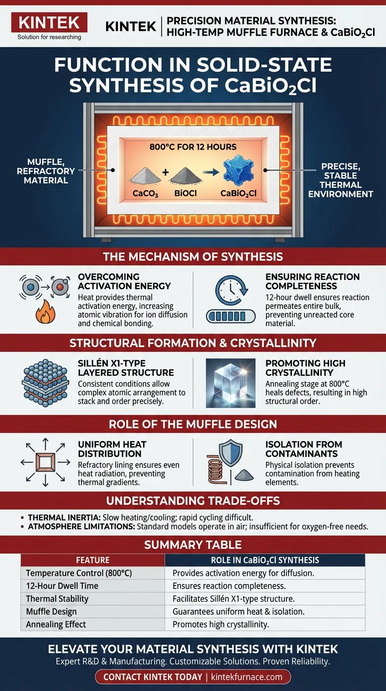 What is the function of a high-temperature muffle furnace in the solid-state synthesis of CaBiO2Cl? Expert Insights Visual Guide