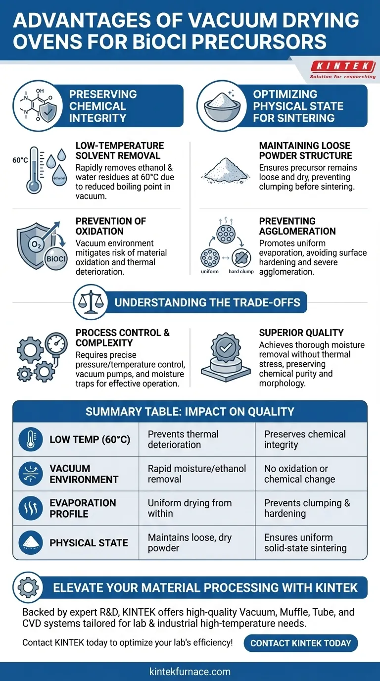 使用真空干燥箱处理BiOCl前驱体有什么优点？确保纯度和烧结效率 图解指南