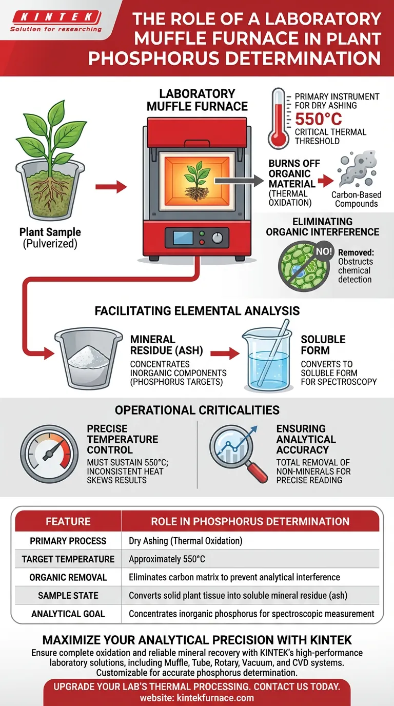 在测定磷含量时，实验室马弗炉起着什么作用？基本干灰化指南 图解指南