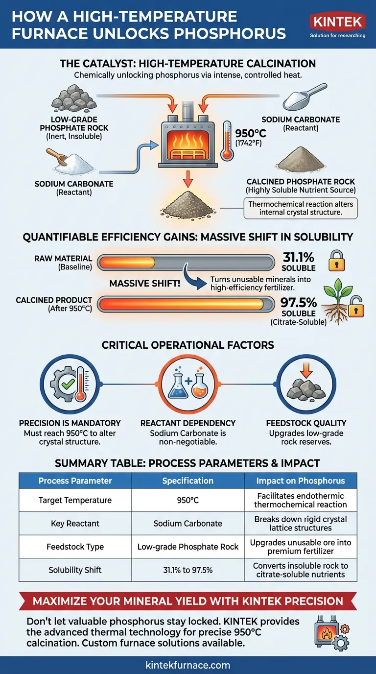 高温熔炉如何提高磷的可用性？通过煅烧实现 97.5% 的溶解度 图解指南