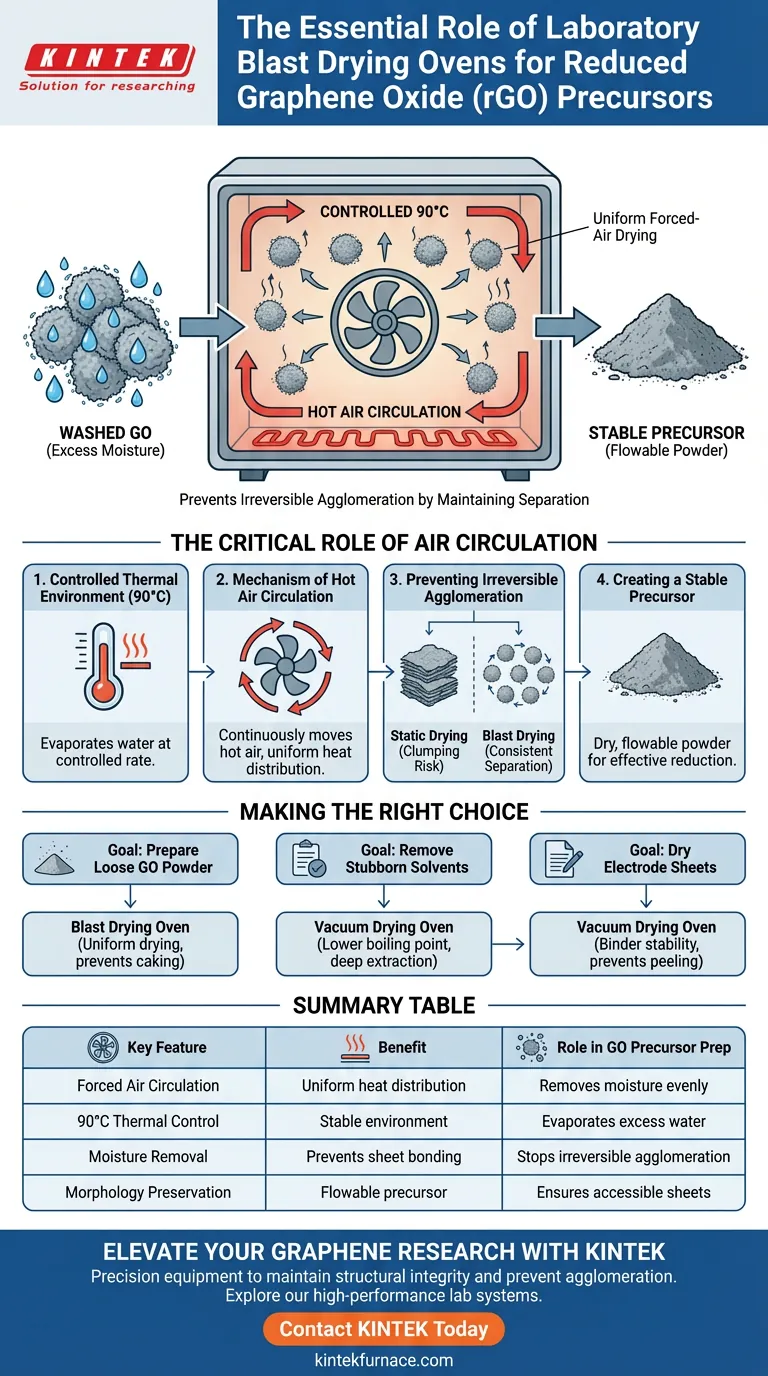 還元グラフェン酸化物前駆体の調製に実験室用ブラスト乾燥オーブンが必要なのはなぜですか？粉末品質の確保 ビジュアルガイド