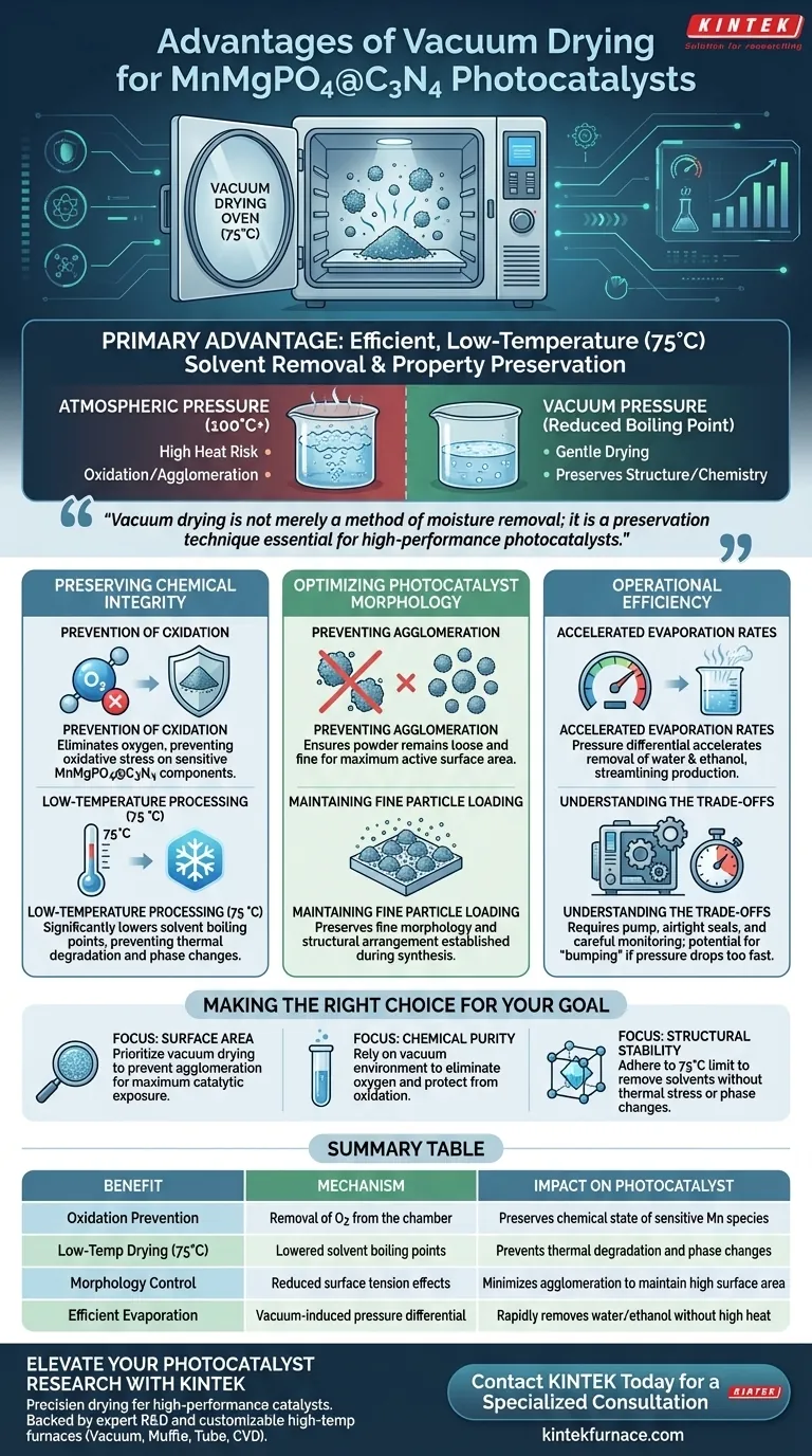 使用真空干燥箱对MnMgPO4@C3N4有何优势？保持光催化剂的完整性 图解指南