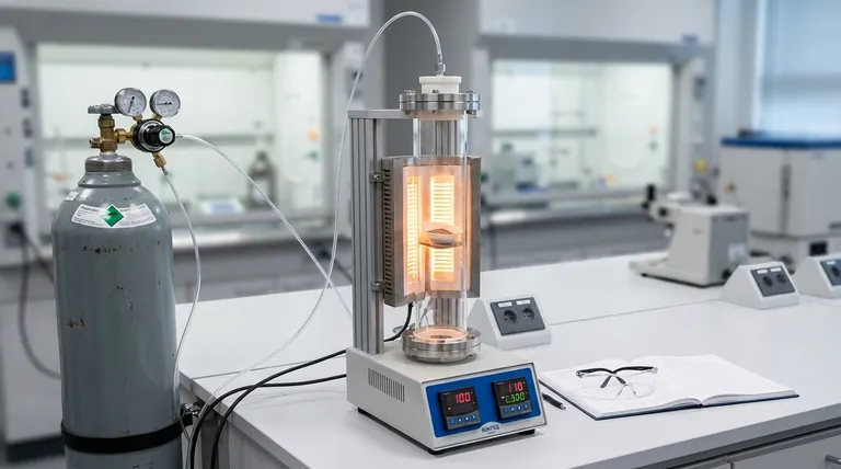 Por que usar um forno tubular de laboratório com argônio para recozimento de aço de baixo carbono? Garanta a integridade do material sem oxidação