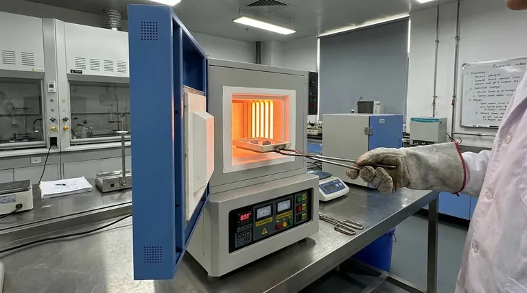 ما هو الدور الذي تلعبه أفران التكليس ذات درجات الحرارة العالية في تأسيس الطور البلوري لمُحفزات البيروفسكايت؟