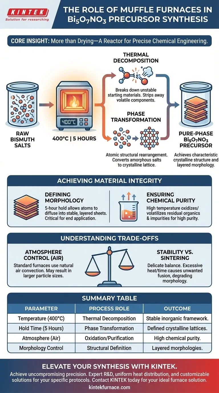 ¿Cuál es el propósito principal de usar un horno mufla para la síntesis de Bi5O7NO3? Fase Maestra y Transformación Térmica Guía Visual