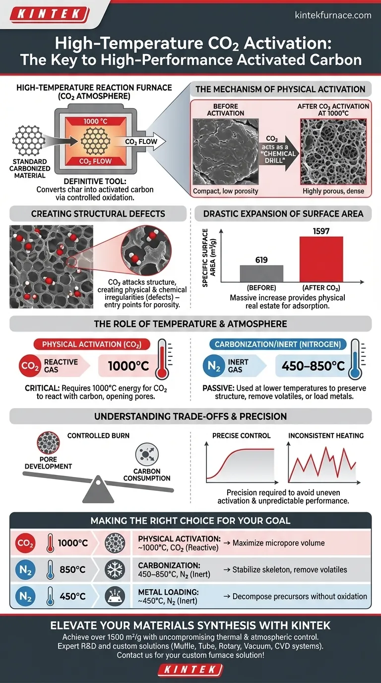 Perché è necessario un forno a reazione ad alta temperatura con controllo della CO2 per il carbone attivo? Sblocca la massima porosità Guida Visiva