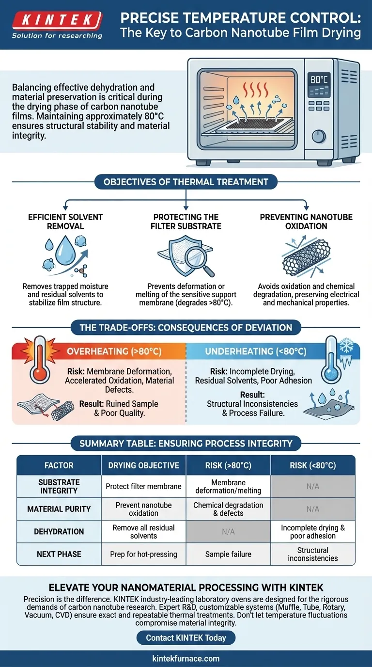 Por que o controle preciso de temperatura é crucial para a secagem de filmes de nanotubos de carbono? Alcance Estabilidade Térmica Perfeita de 80°C Guia Visual