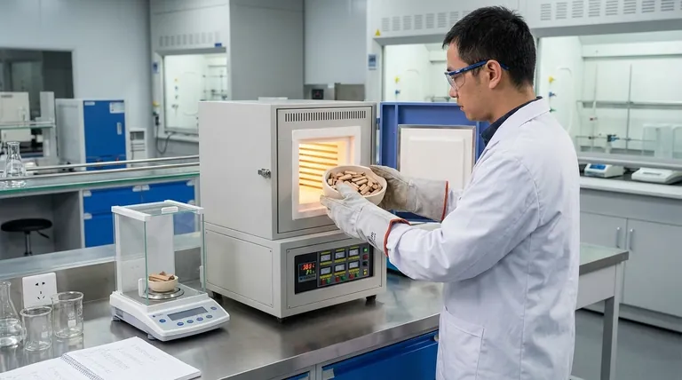 Qual é o propósito principal de operar um forno de laboratório a 383 K por 24 horas? Secagem de Precisão para Preparação de Carbono