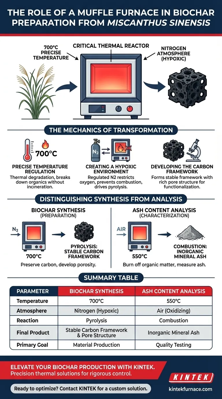 在用芒草（Miscanthus sinensis）制备生物炭的过程中，马弗炉的作用是什么？掌握热解控制 图解指南