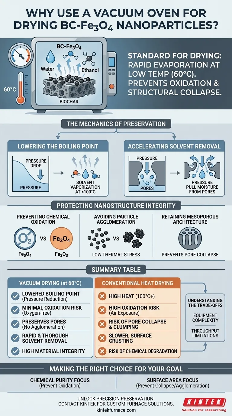 ¿Por qué se utiliza un horno de vacío para el secado final de nanopartículas de BC-Fe3O4? Preservar la pureza y la porosidad Guía Visual