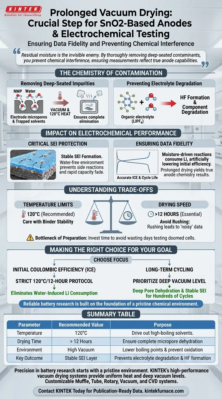 为什么基于SnO2的负极需要长时间在真空干燥箱中处理？确保电化学数据可靠 图解指南