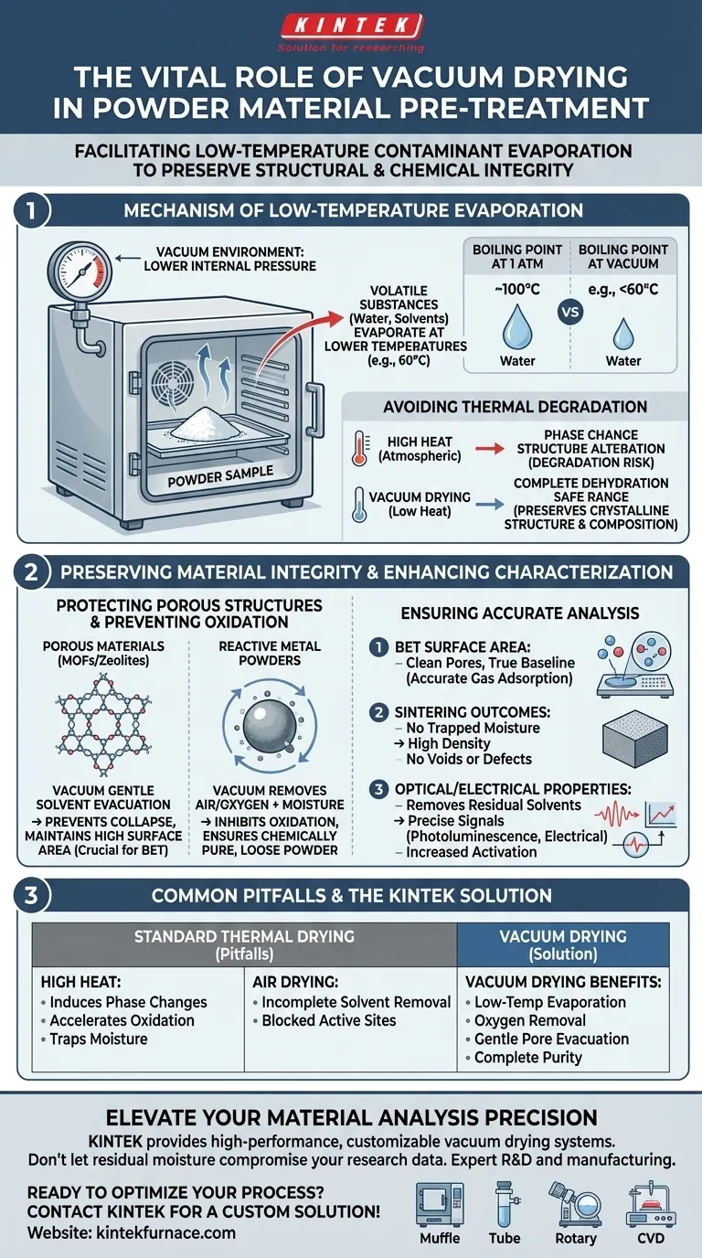 真空干燥箱的用途是什么？确保粉末表征的准确性和材料的完整性 图解指南