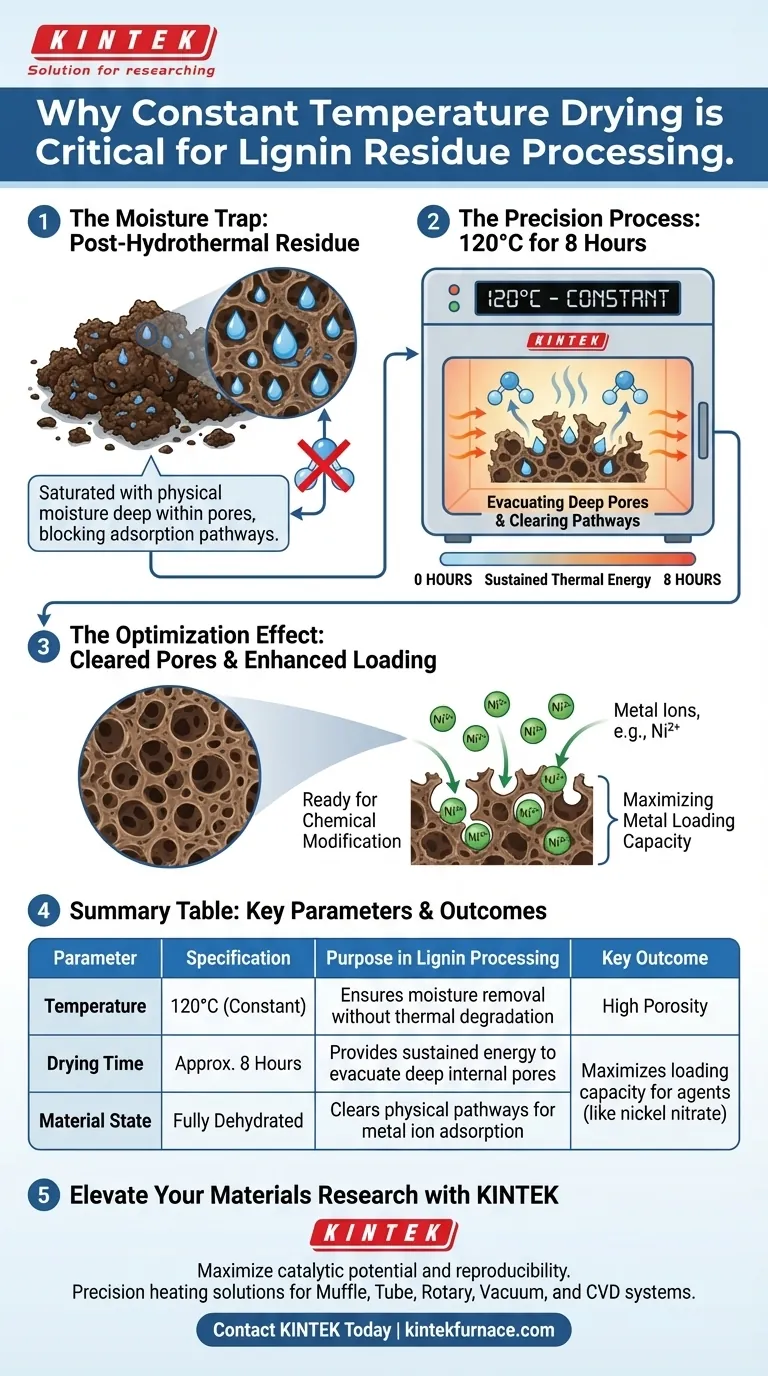 ¿Por qué se requiere un horno de secado a temperatura constante para el procesamiento de residuos de lignina? Asegure la deshidratación superior de los poros Guía Visual