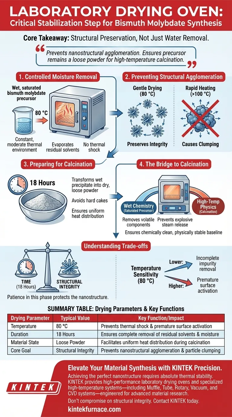Was ist die Funktion eines Labor-Trockenschranks bei der Herstellung von festen Bismut-Molybdat-Materialien? Expertentipps Visuelle Anleitung