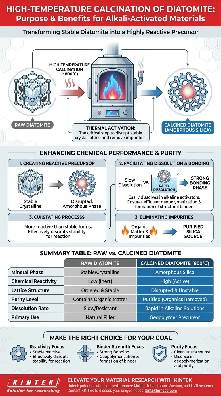 对硅藻土进行高温煅烧的目的是什么？提高用于地质聚合物制备的反应活性 图解指南