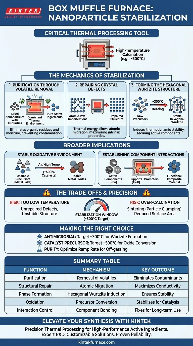 箱式马弗炉在纳米颗粒稳定化中的作用是什么？优化活性成分的功效 图解指南