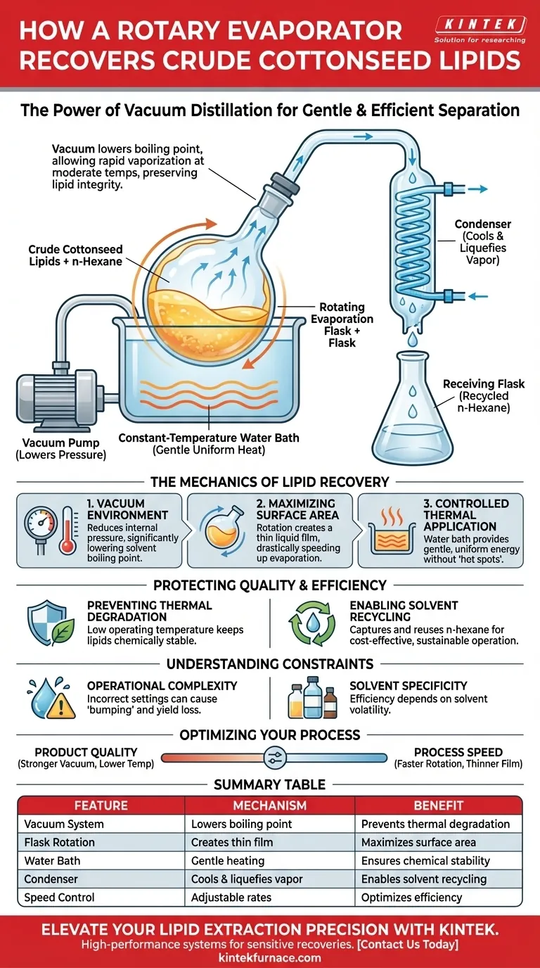 Come funziona un evaporatore rotante nel recupero dei lipidi grezzi di semi di cotone? Ottimizza la tua estrazione lipidica Guida Visiva