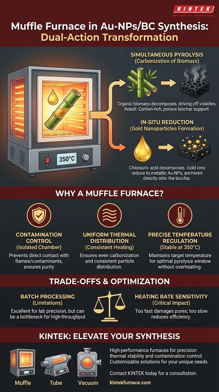 在竹生物炭负载金纳米颗粒（Au-NPs/BC）的合成中，马弗炉的作用是什么？ 图解指南
