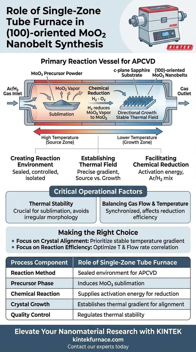 单区管式炉在 (100) 取向的 MoO2 纳米带合成中扮演什么角色？精密 APCVD 控制 图解指南