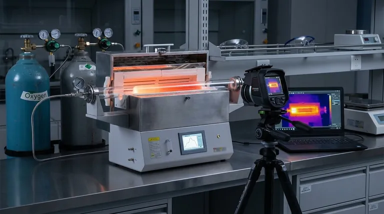 Qual o papel de um forno tubular a vácuo como reator na fase de reação de gaseificação do carvão?